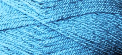 Калина св.синя