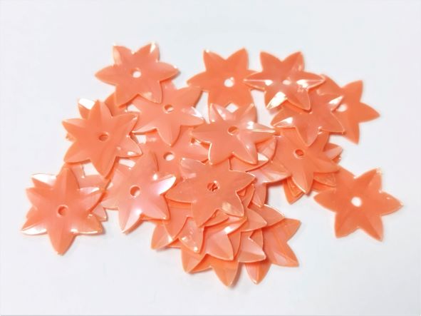 ПАЙЕТА №10 2