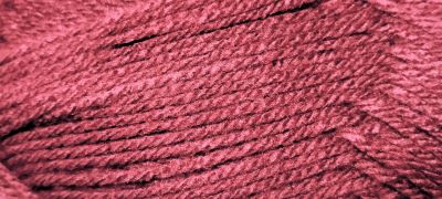 Калина бордо